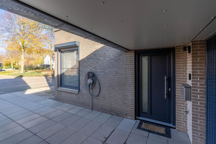 Foto 8 van Ridderspoor 3