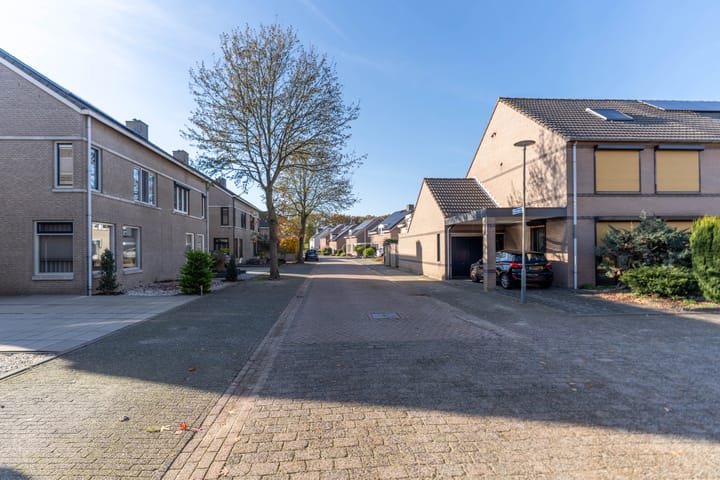 Foto 9 van Ridderspoor 3