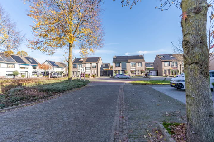 Foto 10 van Ridderspoor 3