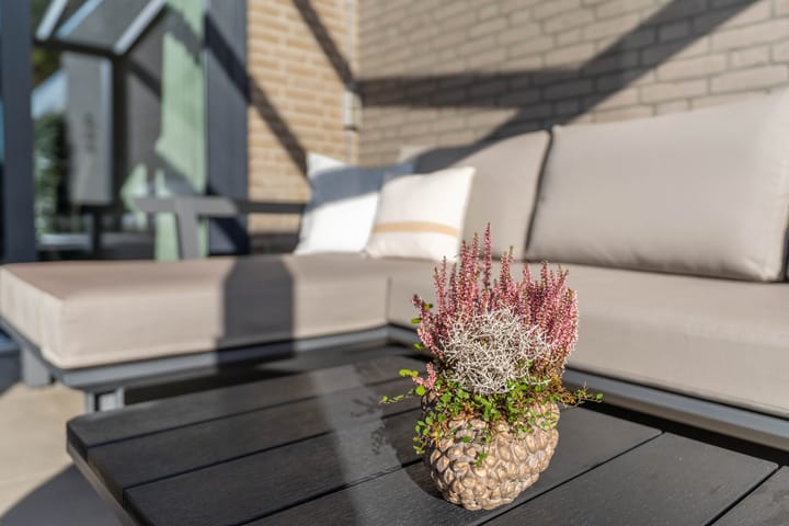 Foto 15 van Ridderspoor 3