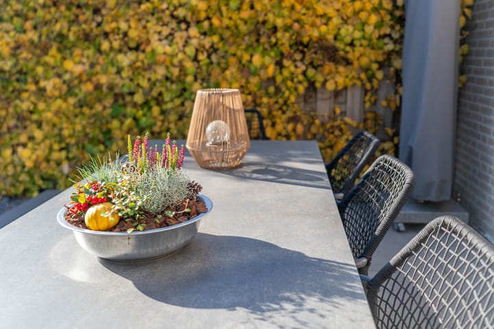 Foto 20 van Ridderspoor 3