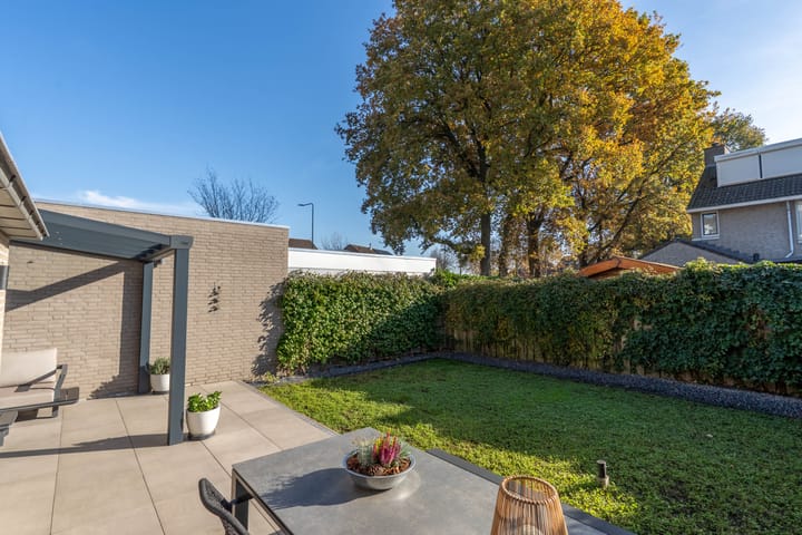 Foto 19 van Ridderspoor 3