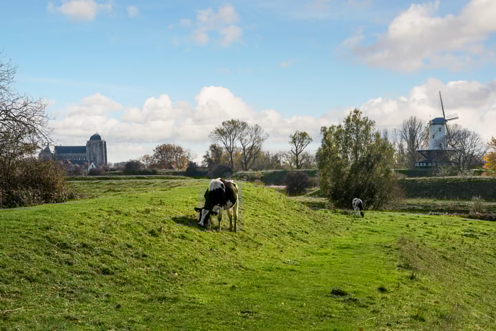 Photo 39 of Zwanenlaan 6-R