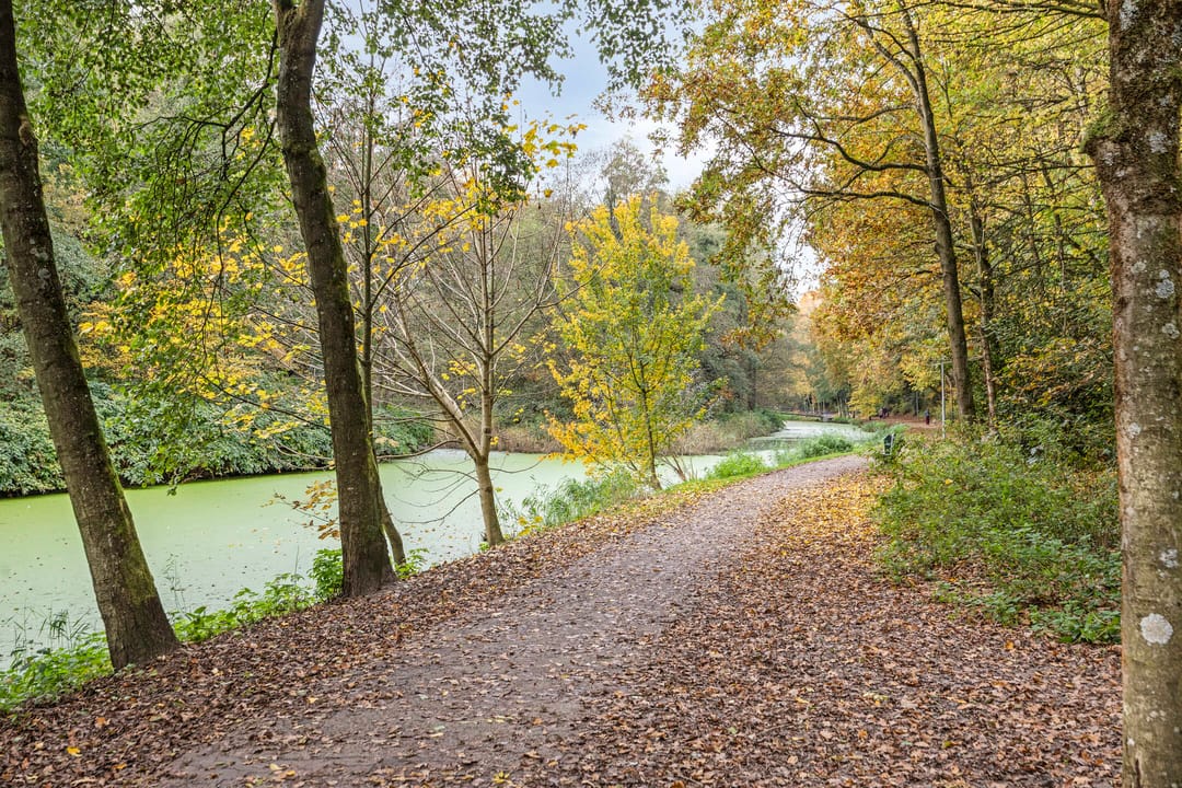 Foto 43 van Ruitersweg 99