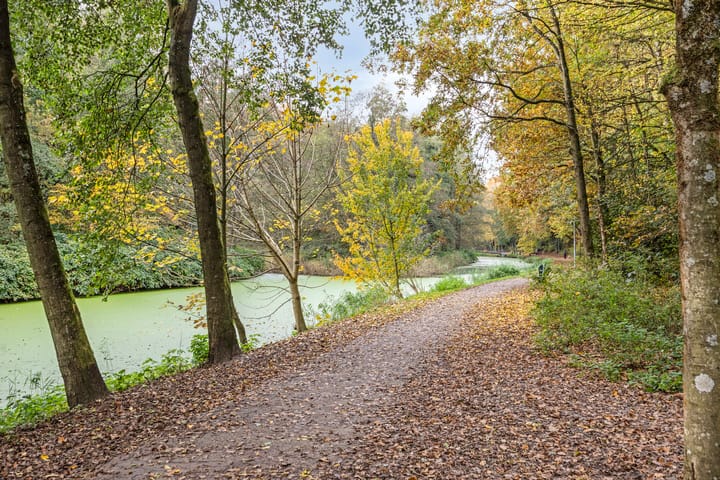 Foto 43 van Ruitersweg 99