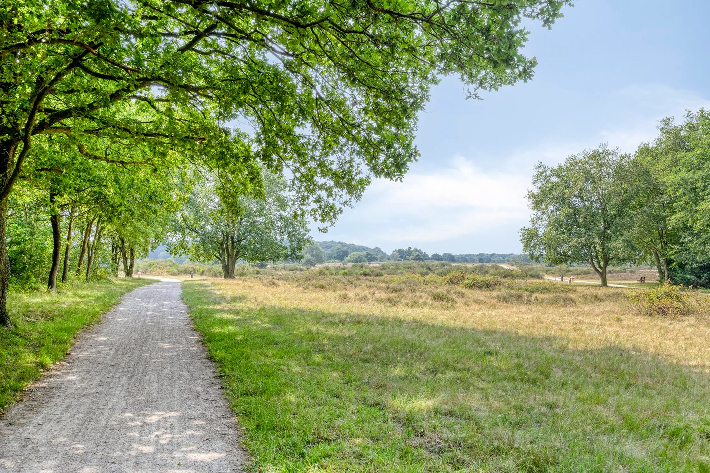 Foto 44 van Ruitersweg 99