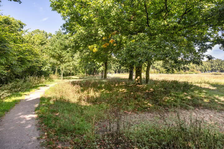 Photo 40 of Trompstraat 32