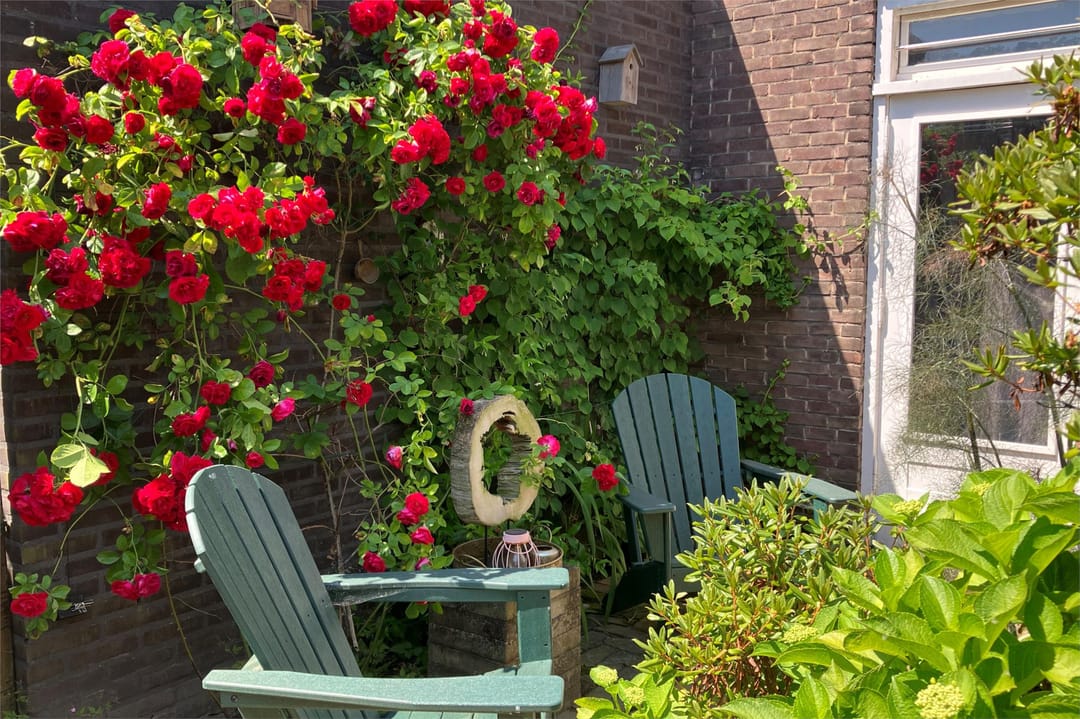 Foto 22 van Frankrijkstraat 63