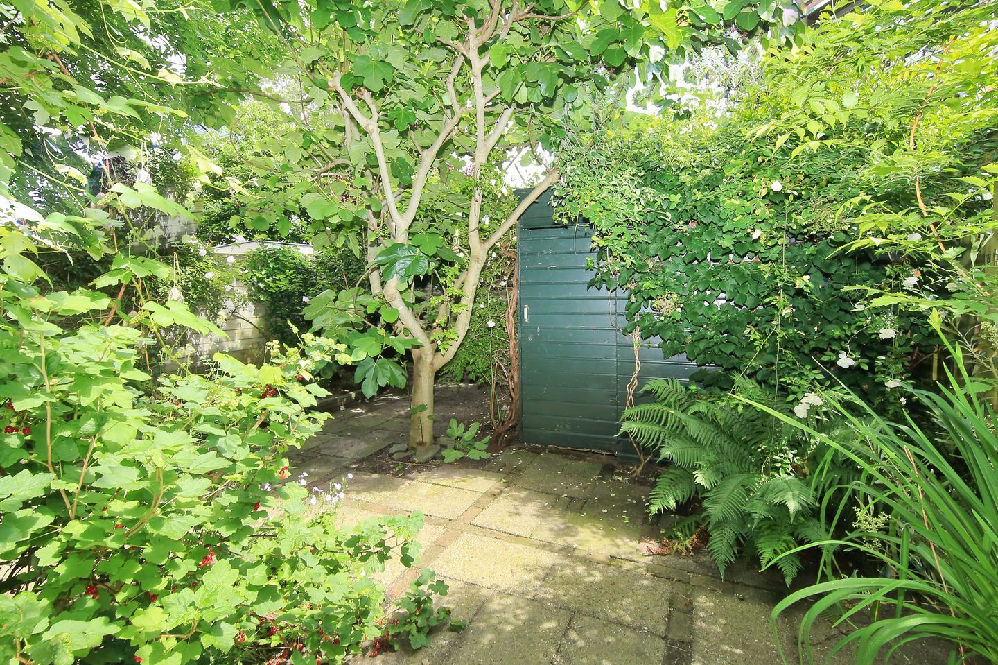 Foto 25 van Pieter Kiesstraat 79-ZW