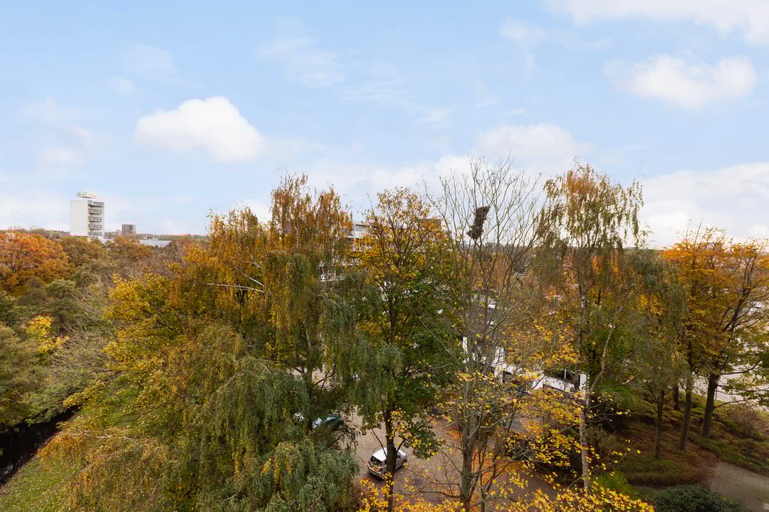 Foto 22 van Burgemeester A. van Walsumlaan 239