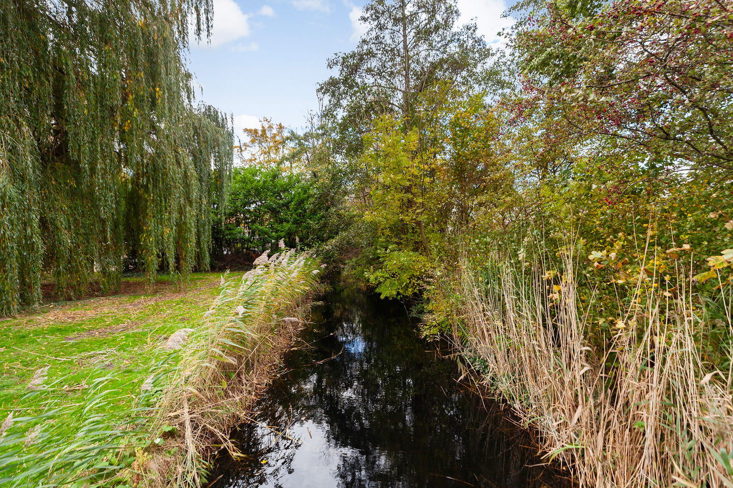 Foto 40 van Burgemeester A. van Walsumlaan 239