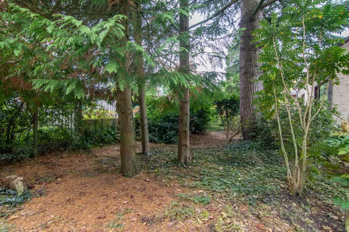 Photo 37 of Osylaan 15