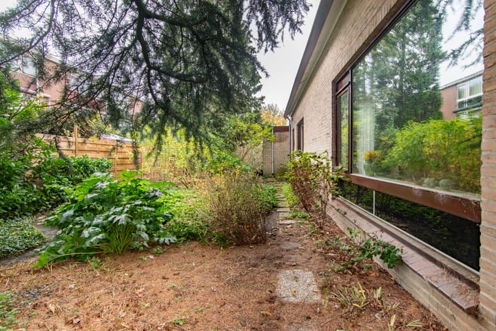 Photo 39 of Osylaan 15