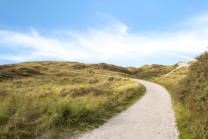 Foto 35 van Paasduinweg 6