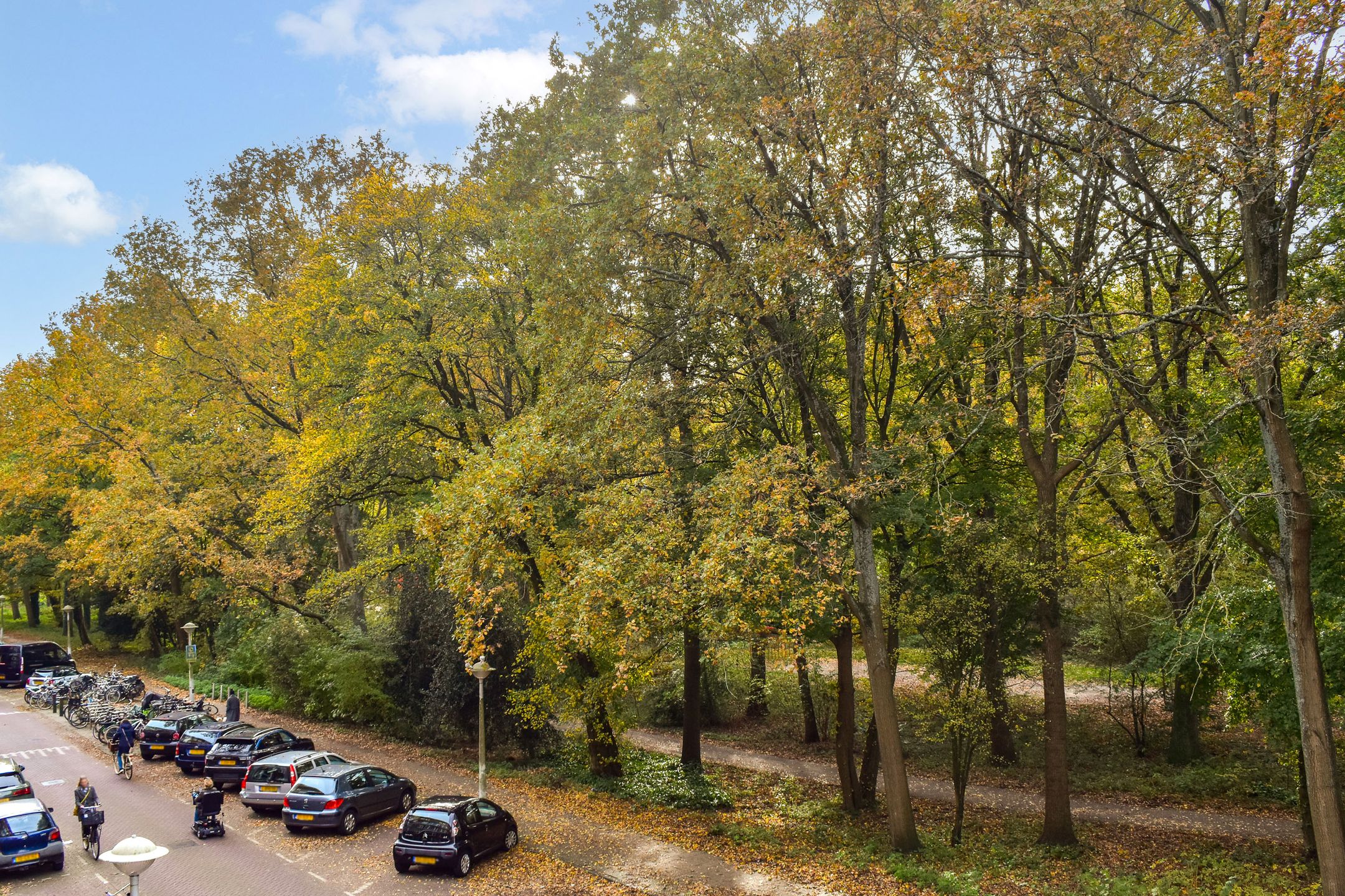 Foto 21 van Orteliuskade 54-2