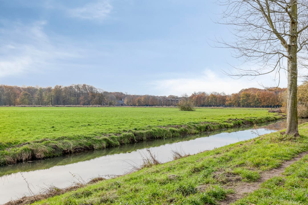 Photo 41 of Rollandslaan 24