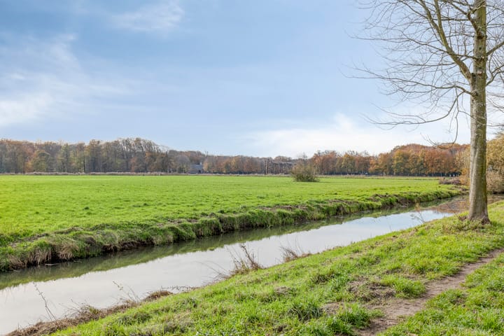 Foto 41 van Rollandslaan 24