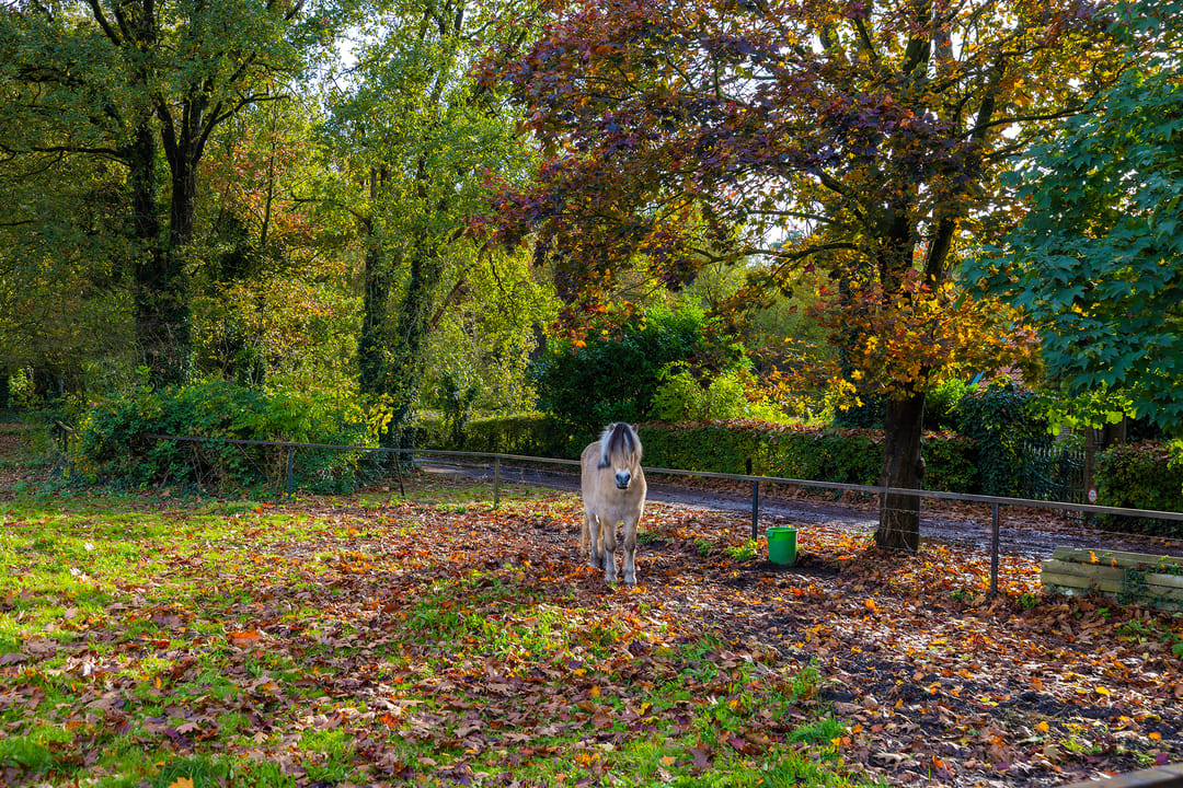 Foto 56 van Bovenweg 12