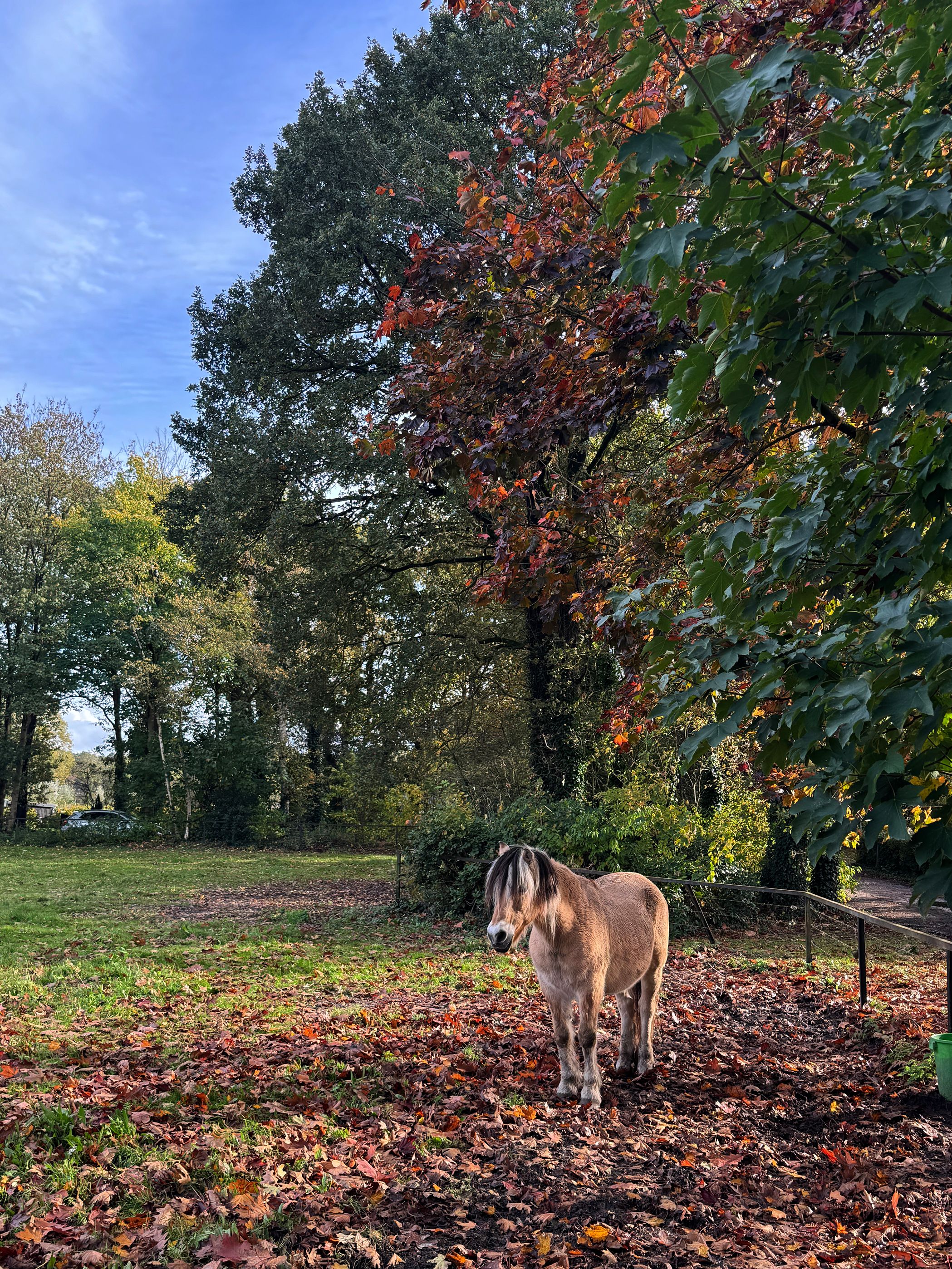 Foto 57 van Bovenweg 12