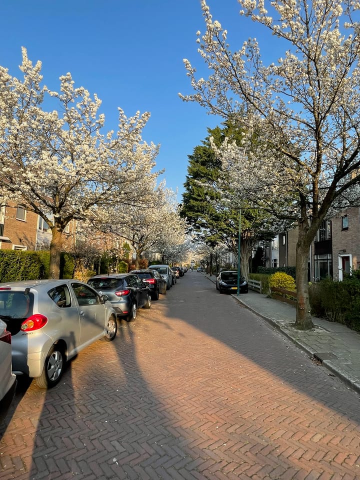 Foto 2 van Prinses Irenelaan 7