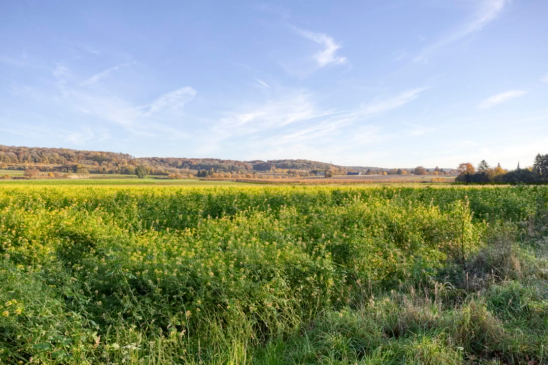 Foto 31 van Moselborg 69