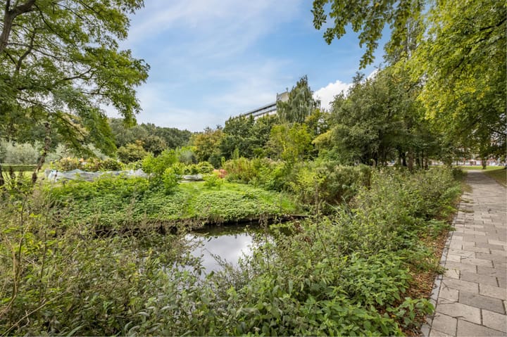 Foto 37 van Vreeswijkstraat 535