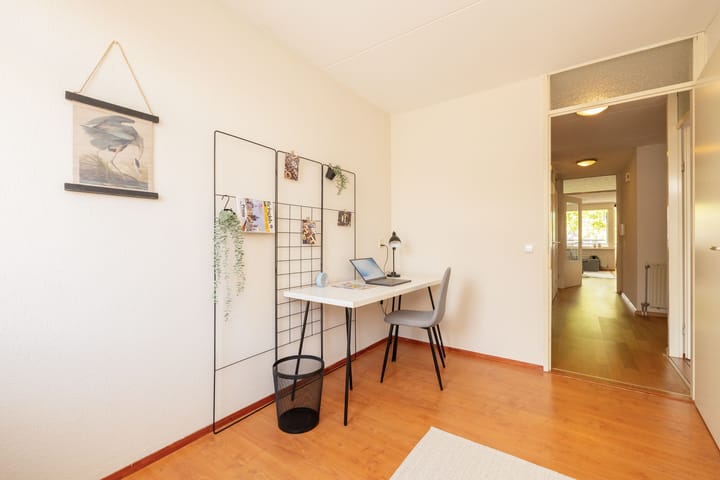 Photo 27 of Lammermarkt 148