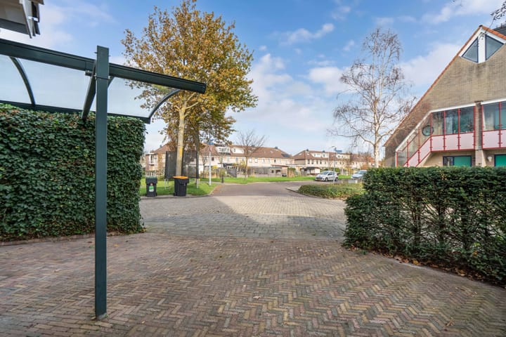 Photo 9 of Valeriaan 11