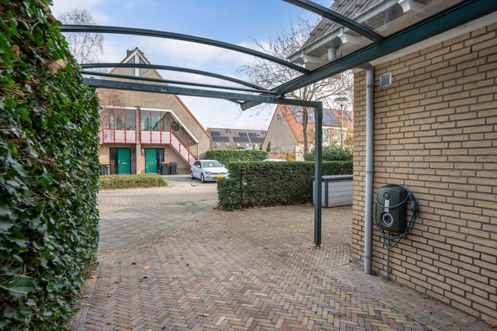 Photo 10 of Valeriaan 11