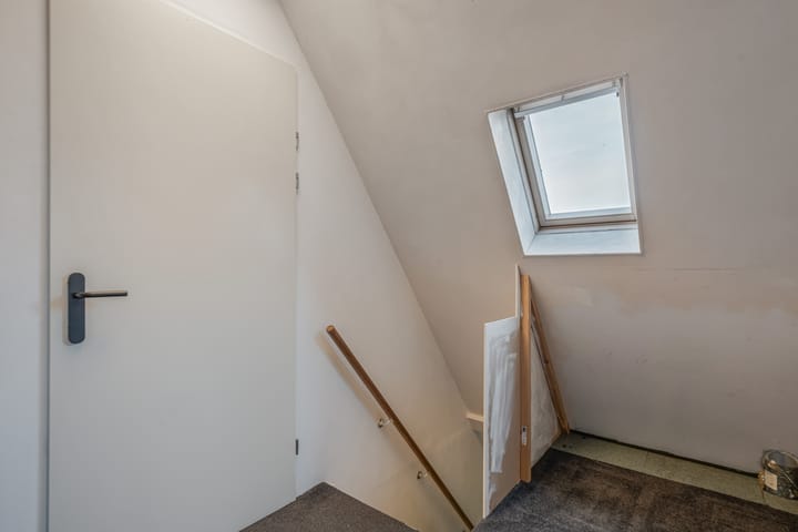 Photo 46 of Valeriaan 11