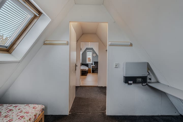 Photo 52 of Valeriaan 11