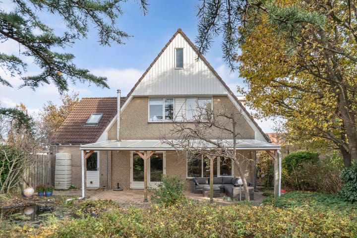 Photo 55 of Valeriaan 11