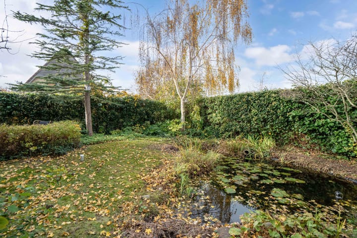 Photo 57 of Valeriaan 11