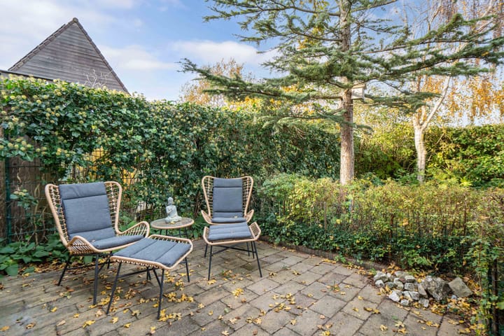 Photo 58 of Valeriaan 11