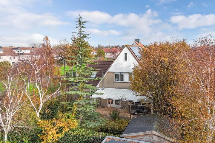 Photo 65 of Valeriaan 11