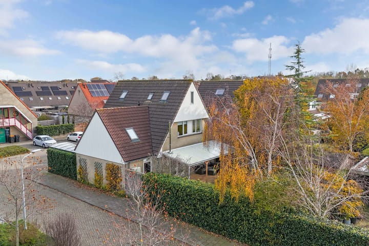 Photo 66 of Valeriaan 11