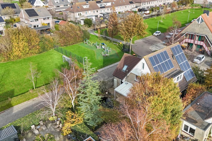 Photo 67 of Valeriaan 11