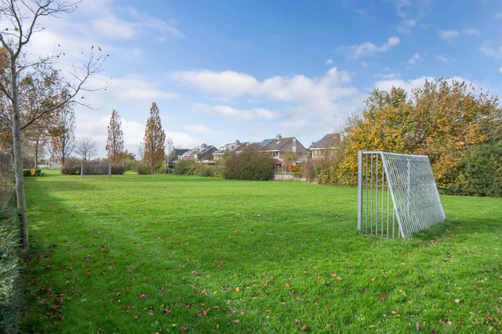 Photo 69 of Valeriaan 11