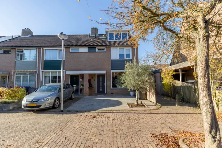 Foto 3 van Koolmees 85