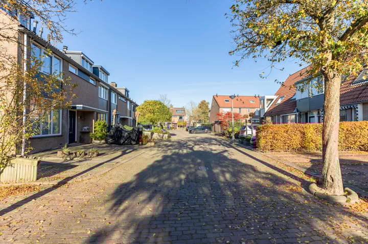 Foto 34 van Koolmees 85