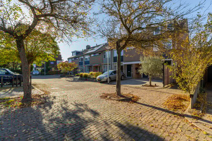 Foto 33 van Koolmees 85