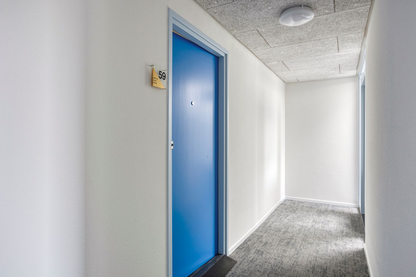 Photo 4 of Lemmeraak 59