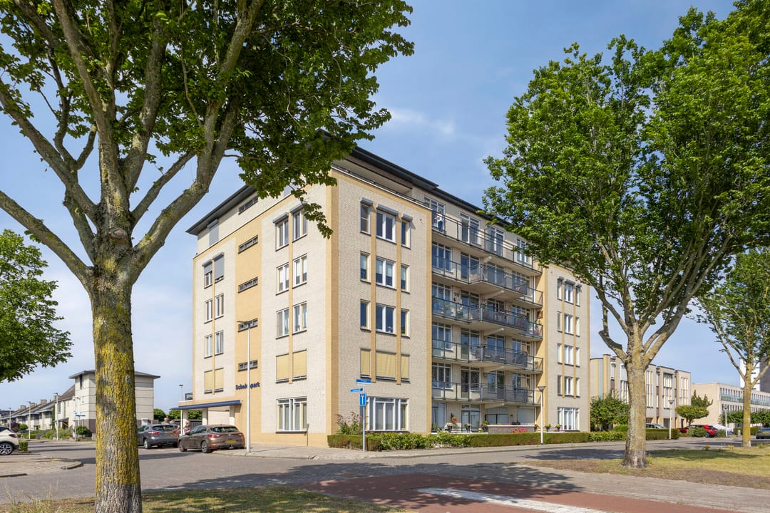 Photo 38 of Lemmeraak 59