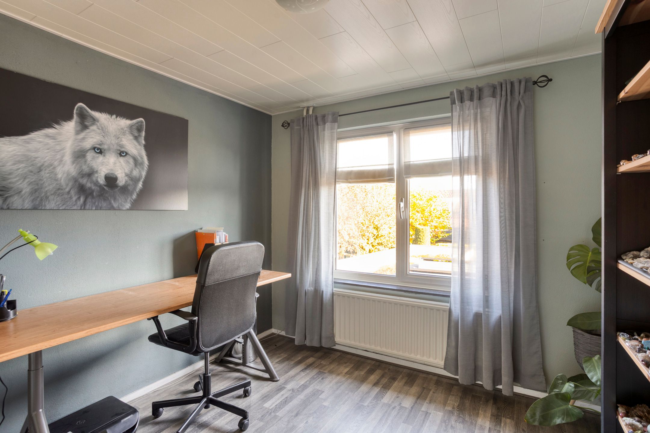 Foto 36 van Castelostraat 5