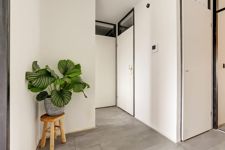 Photo 6 of Veilingdreef 52