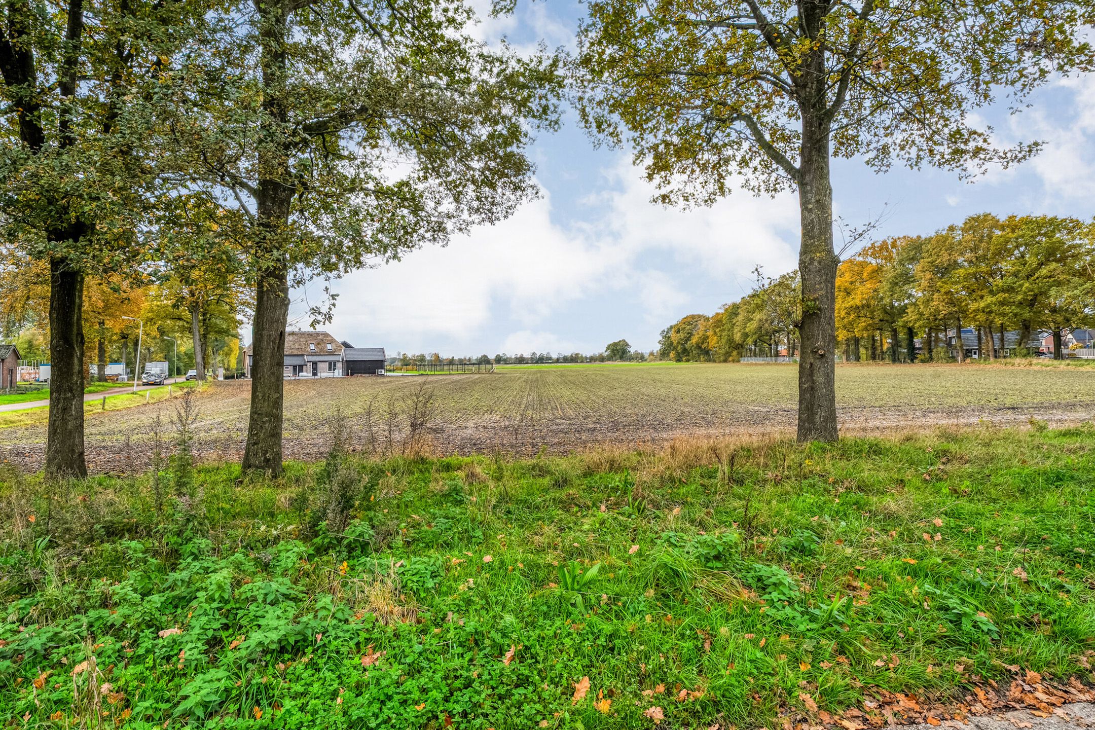 Foto 9 van Roelf Bosmastraat 211