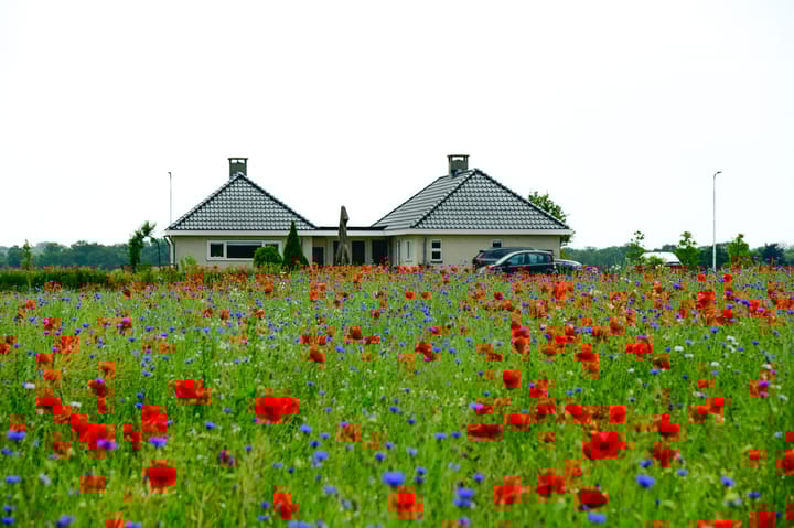 Foto 46 van Diepenheimseweg 25-A