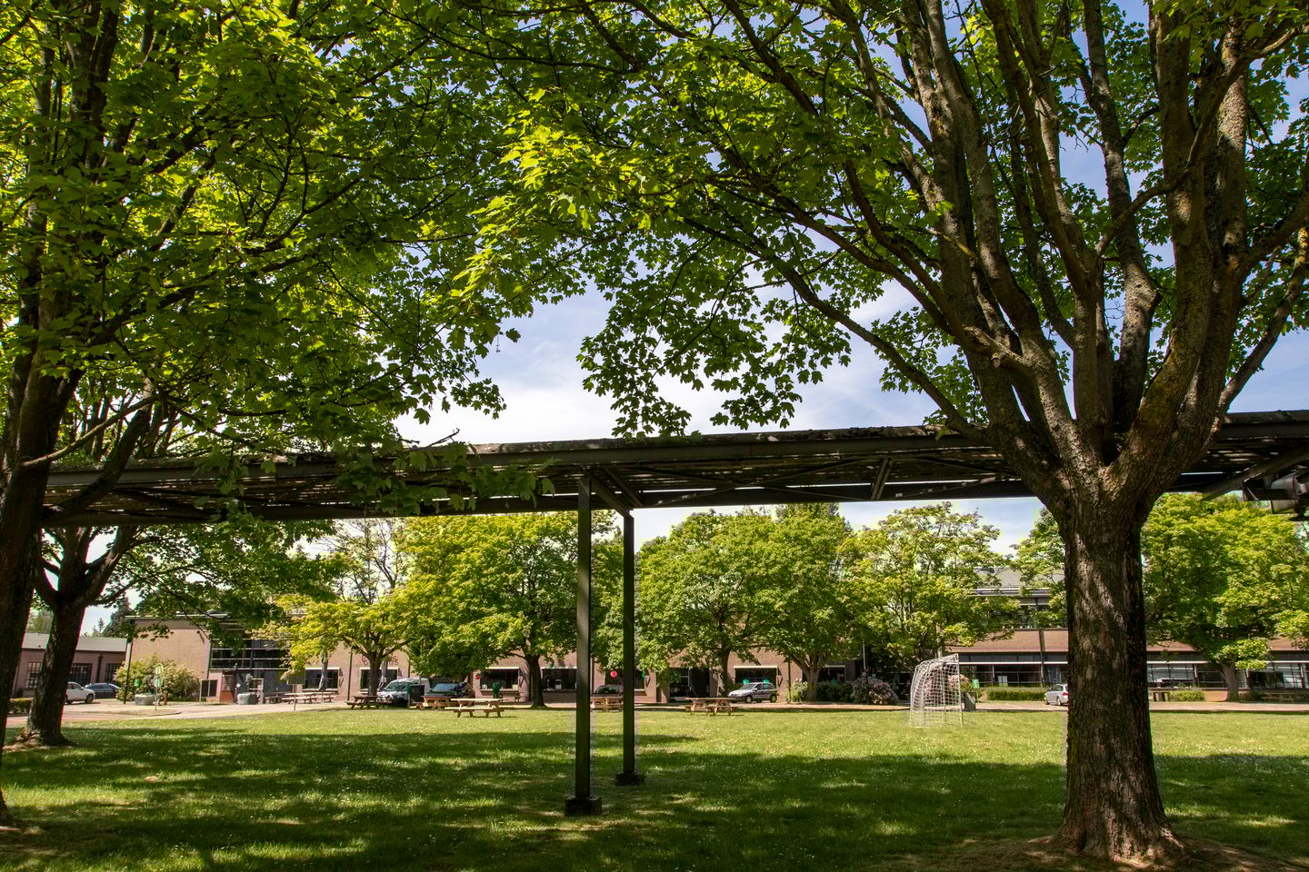 Bekijk foto 5 van Jan Campertstraat 5