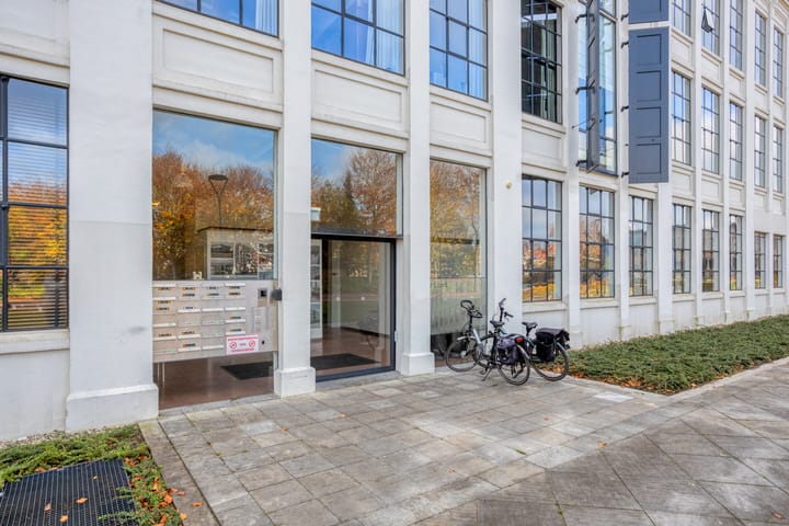 Photo 5 of Tricot 31