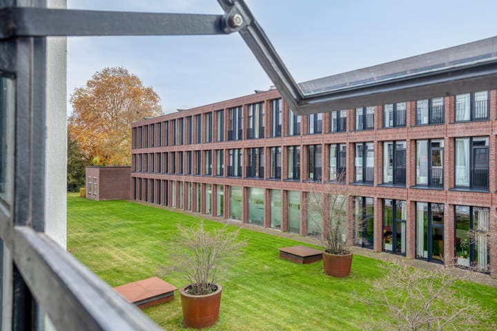 Photo 23 of Tricot 31